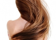 ﶬƼȻo(h)l(f)Ĥ  5Ȼ䷽콡l(f)