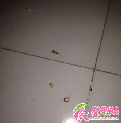 w|(zh)Y_(qing)¼_ݸԂYƬ