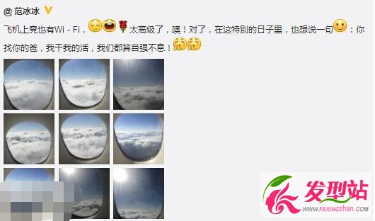 范冰冰干爹金寶學圻家印是誰哪幾個人_范冰冰與王學圻什么關(guān)系_范冰冰干爹洪金寶后臺許家印