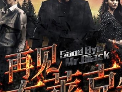 Goodbye Mr BlackҊ(jin)R044YԴٶ