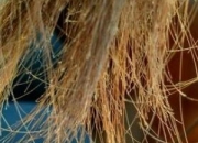 �^�l(f��)�ֲ���ô�k �����o(h��)���^�l(f��)�ֲ�����_����