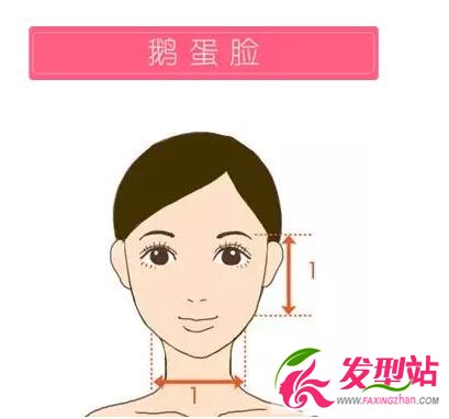 臉型診斷解析