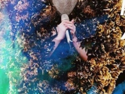 泪cݽҕ 桶顷һҪҸ̫ 