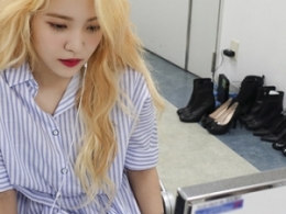 2019nʽl(f)] ͬ׌pɓQĘŮ