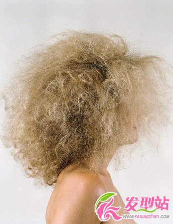  Curlyl(f); 