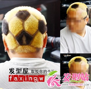 ˬnʽl(f)չʾ\L(fng)