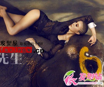 女生子彈頭圖片 范冰冰超短發(fā)寫真照片
