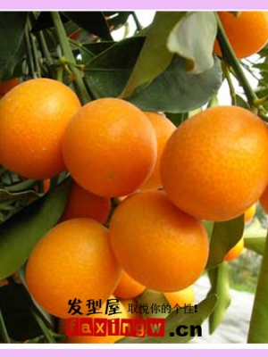 ��ʲôʳ����ܜp�ٵ��^�l(f��)  ���Nˮ����ֹÓ�l(f��)