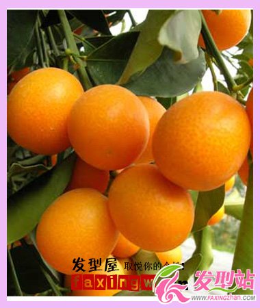 掉頭發(fā)吃什么水果好 對(duì)頭發(fā)好的水果大盤點(diǎn)