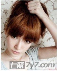 diy2012ļϵ^ ֱl(f)^l(f)̳̈DƬ