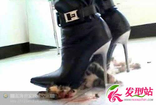廣東大學(xué)生虐貓拍80秒視頻用熱鐵燙貓下體 2人個人資料照片被人肉