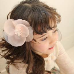 2025最新兒童發(fā)型大全 幼兒園女孩發(fā)型扎法圖片教程