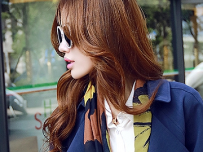 Ⱦl(f)څ @ɫϵȾl(f)l(f)͈DƬ