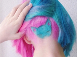2016Xײ؈Ę ^l(f)yᳱ