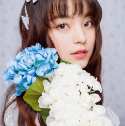 @݄ʽȫ mķN ՚™