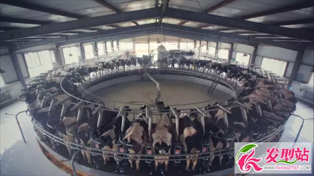 ▲1865牧場輪盤擠奶器