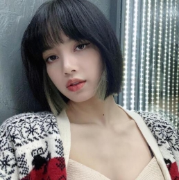 LisaȫeR ΢L(zhng)l(f)՚™Ů