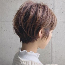 2025������ϵ�̰l(f��)���] �ޜp�g�@���|(zh��)�������S