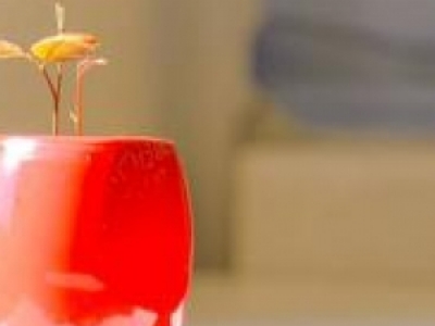 ֲl(f)ɂЧ ֲl(f)F(xin)mYr(f)\ȞҪ